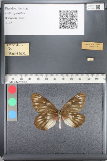 Media type: image;   Entomology 130306